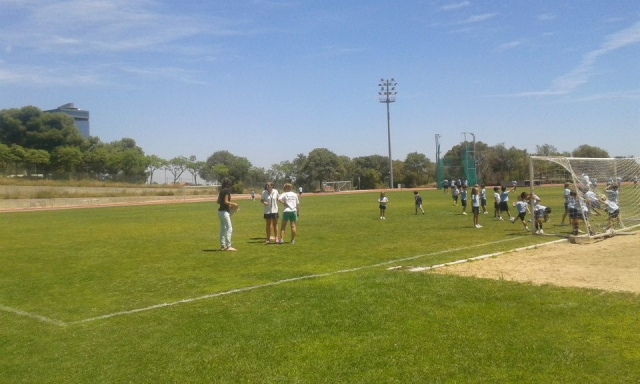 campo futbol.jpg